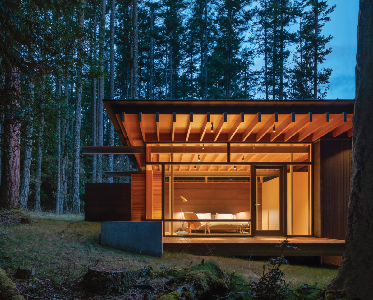 Forest Retreat NIGHT Forest Retreat